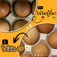 ไข่ไก่ได้มาตรฐาน