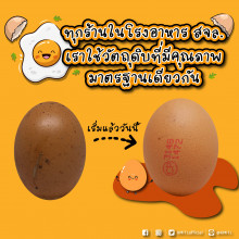 ไข่ไก่ได้มาตรฐาน