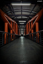 KMITL Photo Contest 2025