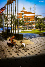 KMITL Photo Contest 2025