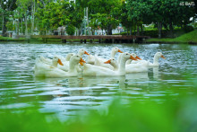 KMITL Photo Contest 2025