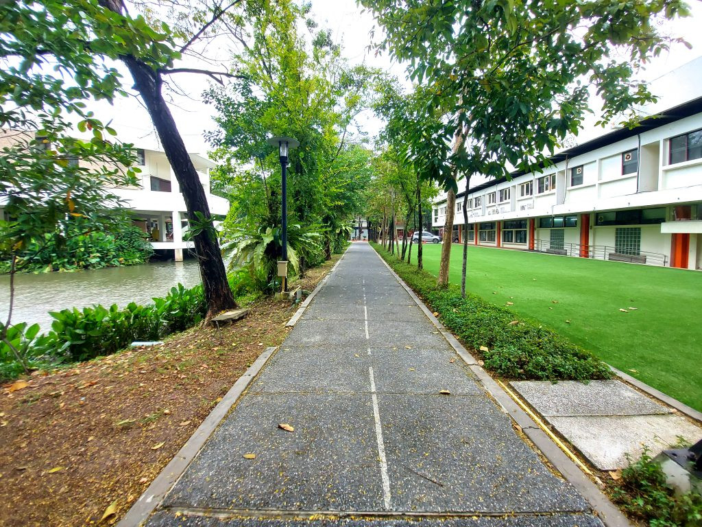ped-path4-1-1024x768.jpg Image